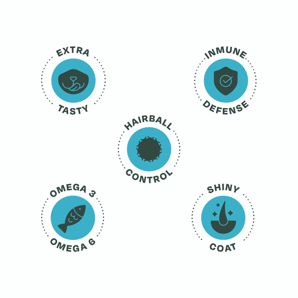 Bonnat feline adulto x 1.5 kg - Image 5