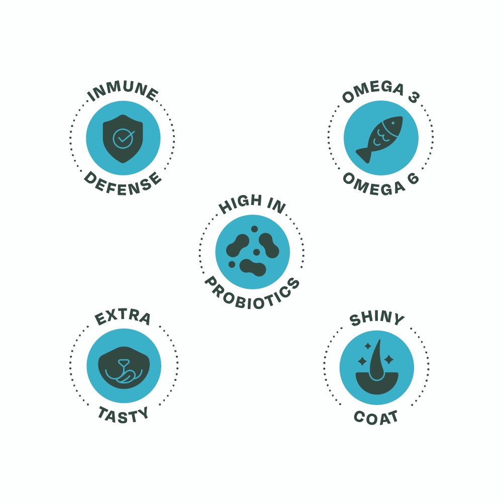 Bonnat feline kitten x 1.5 kg - Image 5